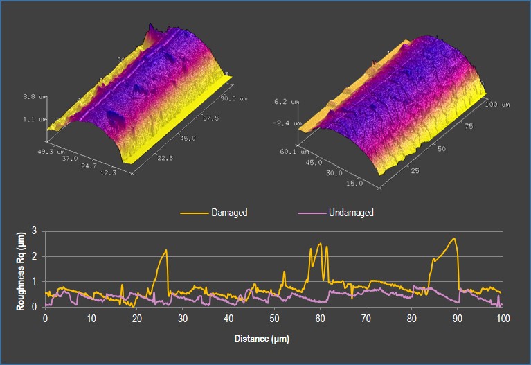 Hair care product test : Hair roughness measured by AFM Atomic Force Microscopy