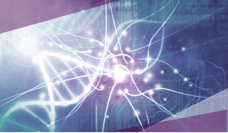 Cosmetogenomic screening chip Cosmetogenomic screening chip