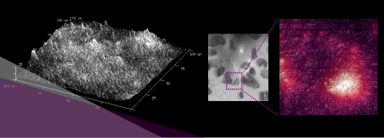 Nail polish test surface characterization AFM Focused surface characterization analysis of nail polish by AFM Atomic Force Microscopy