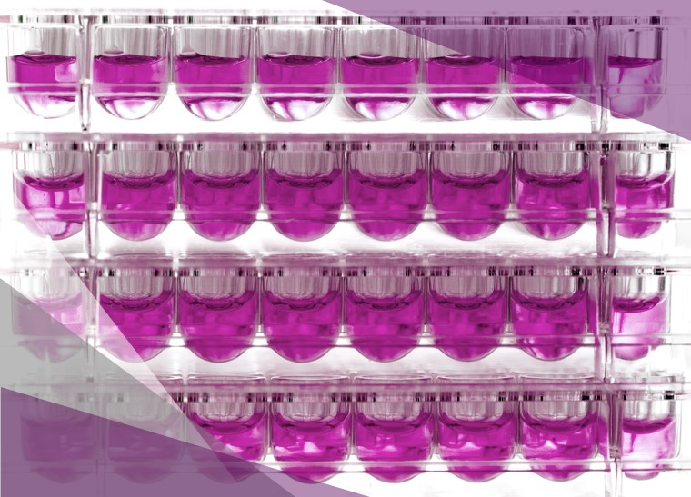 custom Independent reactions chemistry synthesis SLT chemspeed automaton