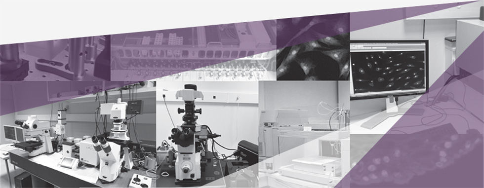Technology Tools High Technology Tools skin analysis