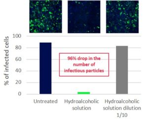 antiviral effect on the skin